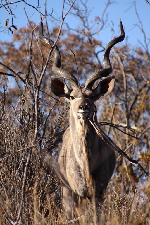 Ouklip Game Lodge Klipdrift Kültér fotó