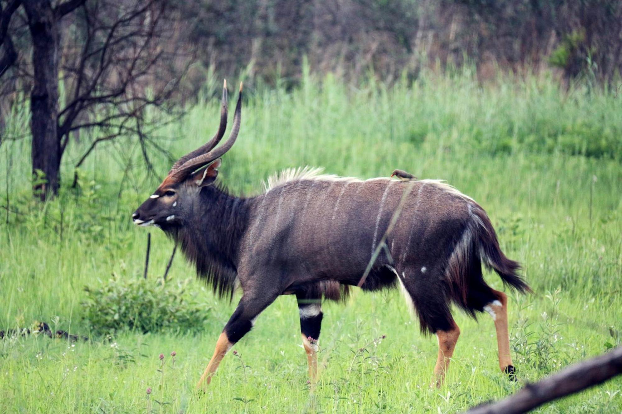 Ouklip Game Lodge Klipdrift Kültér fotó